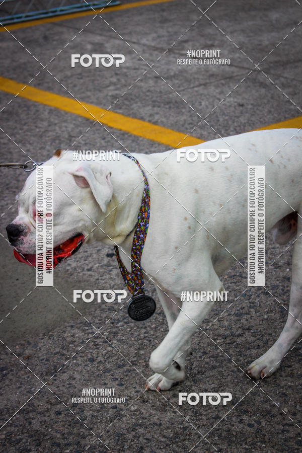 Buy your photos of the eventCorrida Scooby Doo Internacional Shopping Guarulhos 2019 on Fotop