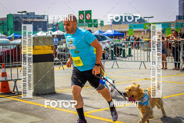 Buy your photos of the eventC�orrida Scooby Doo Internacional Shopping Guarulhos 2019 on Fotop