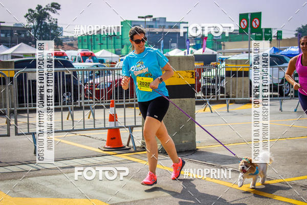 Buy your photos of the eventCorrida Scooby Doo Internacional Shopping Guarulhos 2019 on Fotop
