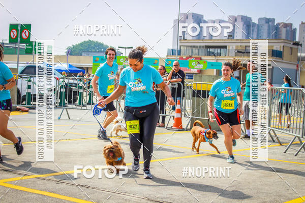 Buy your photos of the eventC�orrida Scooby Doo Internacional Shopping Guarulhos 2019 on Fotop