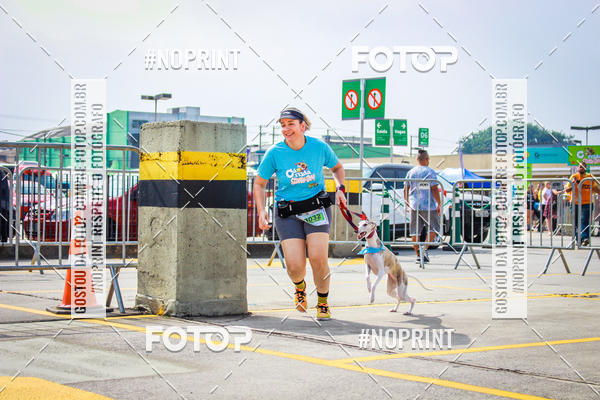 Buy your photos of the eventC�orrida Scooby Doo Internacional Shopping Guarulhos 2019 on Fotop