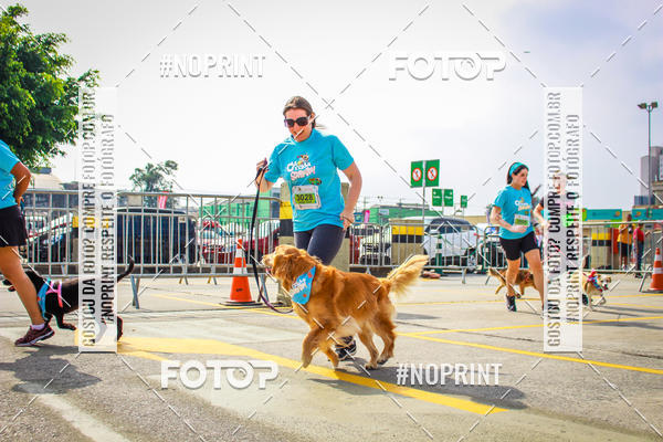 Buy your photos of the eventC�orrida Scooby Doo Internacional Shopping Guarulhos 2019 on Fotop