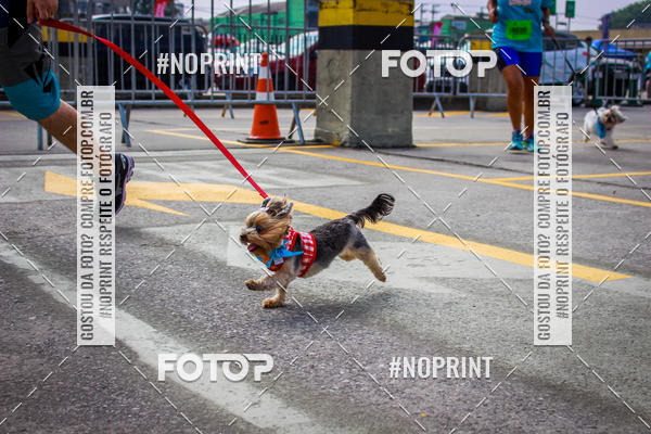 Buy your photos of the eventC�orrida Scooby Doo Internacional Shopping Guarulhos 2019 on Fotop