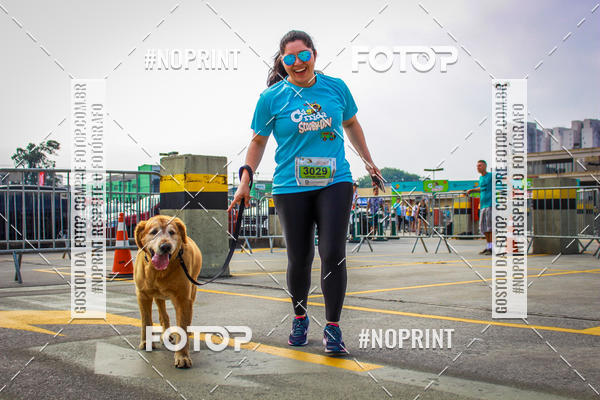 Buy your photos of the eventC�orrida Scooby Doo Internacional Shopping Guarulhos 2019 on Fotop