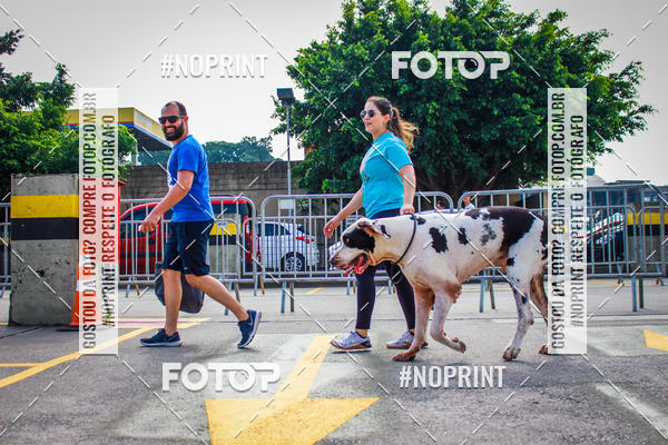 Buy your photos of the eventC�orrida Scooby Doo Internacional Shopping Guarulhos 2019 on Fotop