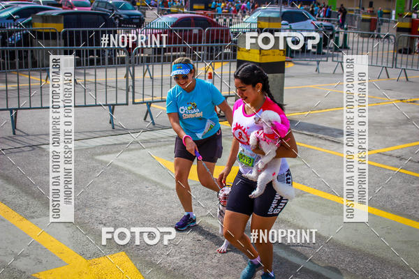 Buy your photos of the eventCorrida Scooby Doo Internacional Shopping Guarulhos 2019 on Fotop
