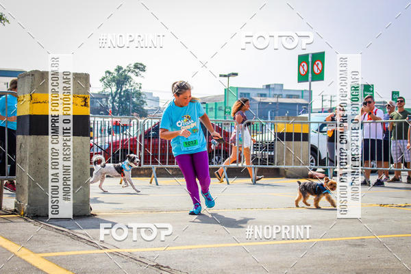 Buy your photos of the eventC�orrida Scooby Doo Internacional Shopping Guarulhos 2019 on Fotop