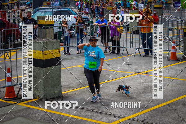 Buy your photos of the eventCorrida Scooby Doo Internacional Shopping Guarulhos 2019 on Fotop