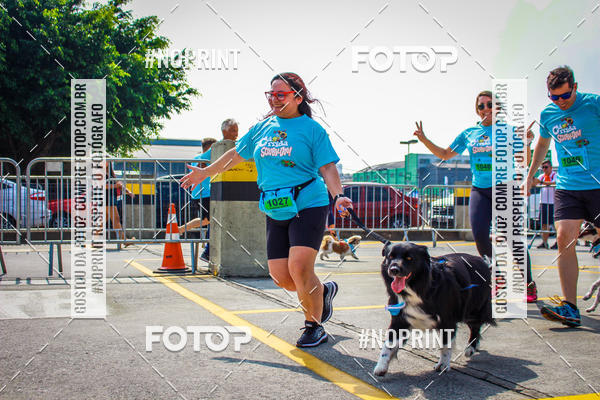 Buy your photos of the eventCorrida Scooby Doo Internacional Shopping Guarulhos 2019 on Fotop