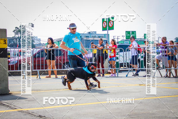 Buy your photos of the eventC�orrida Scooby Doo Internacional Shopping Guarulhos 2019 on Fotop