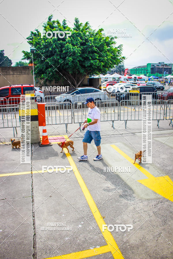 Buy your photos of the eventCorrida Scooby Doo Internacional Shopping Guarulhos 2019 on Fotop
