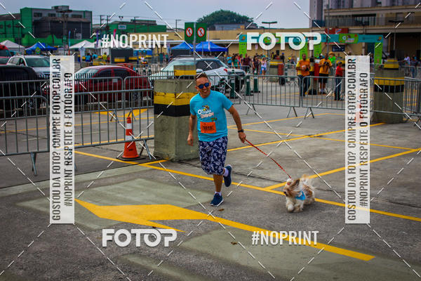 Buy your photos of the eventCorrida Scooby Doo Internacional Shopping Guarulhos 2019 on Fotop