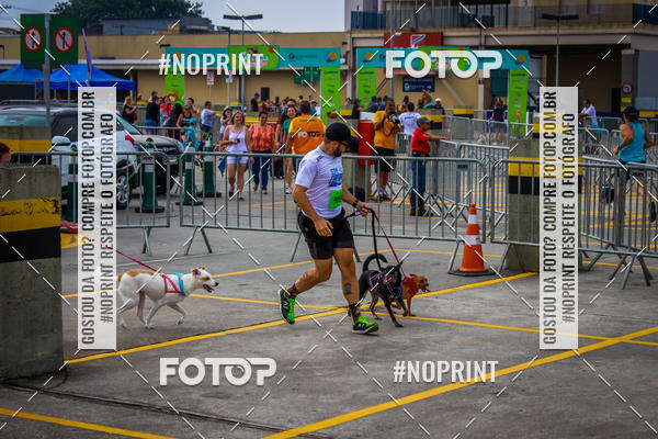 Buy your photos of the eventCorrida Scooby Doo Internacional Shopping Guarulhos 2019 on Fotop