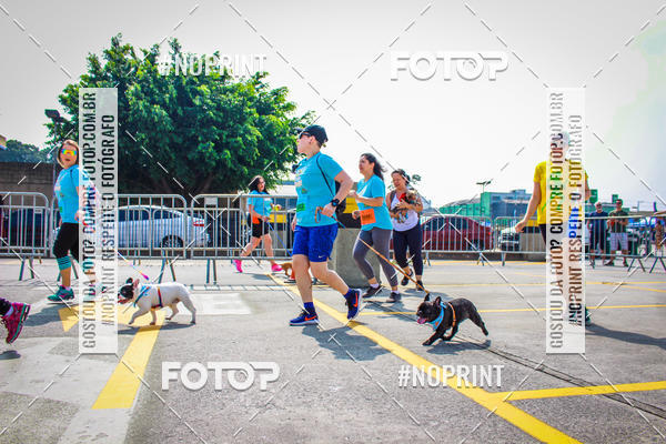 Buy your photos of the eventC�orrida Scooby Doo Internacional Shopping Guarulhos 2019 on Fotop