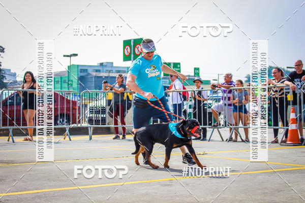Buy your photos of the eventC�orrida Scooby Doo Internacional Shopping Guarulhos 2019 on Fotop