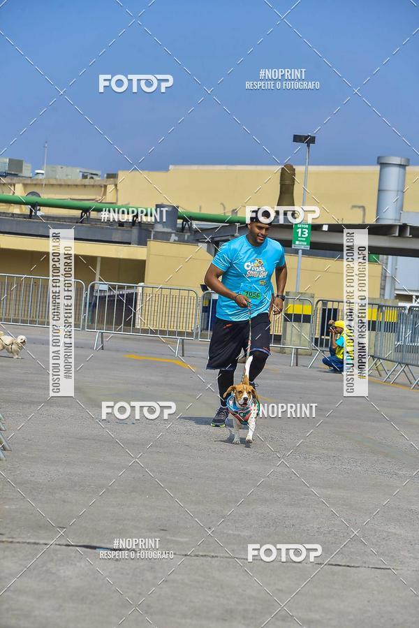 Buy your photos of the eventC�orrida Scooby Doo Internacional Shopping Guarulhos 2019 on Fotop