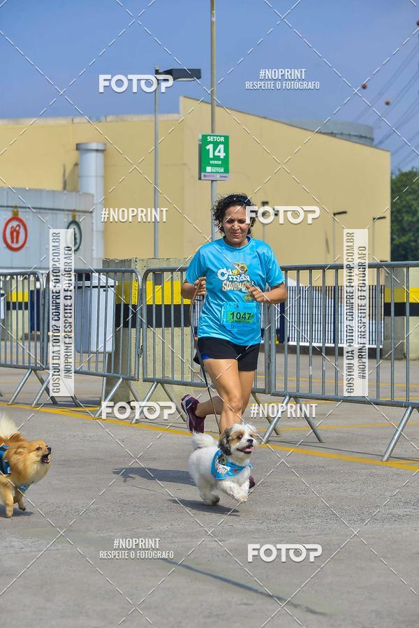 Buy your photos of the eventC�orrida Scooby Doo Internacional Shopping Guarulhos 2019 on Fotop