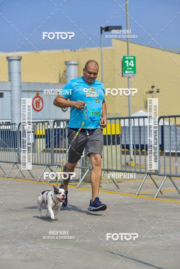 Buy your photos of the eventC�orrida Scooby Doo Internacional Shopping Guarulhos 2019 on Fotop