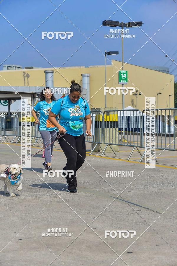 Buy your photos of the eventC�orrida Scooby Doo Internacional Shopping Guarulhos 2019 on Fotop