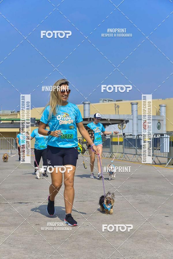 Buy your photos of the eventC�orrida Scooby Doo Internacional Shopping Guarulhos 2019 on Fotop