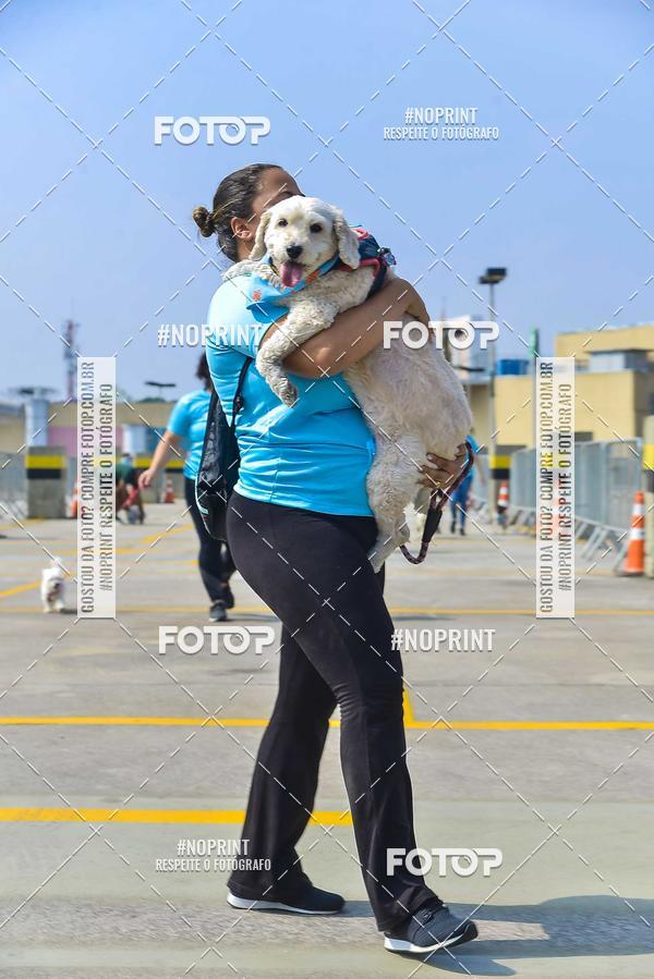 Buy your photos of the eventC�orrida Scooby Doo Internacional Shopping Guarulhos 2019 on Fotop