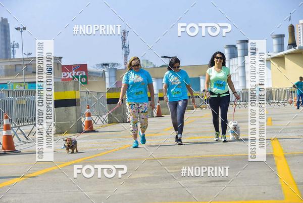 Buy your photos of the eventC�orrida Scooby Doo Internacional Shopping Guarulhos 2019 on Fotop