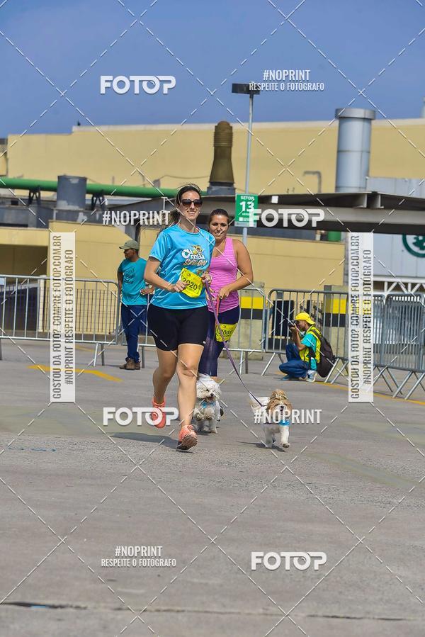 Buy your photos of the eventC�orrida Scooby Doo Internacional Shopping Guarulhos 2019 on Fotop