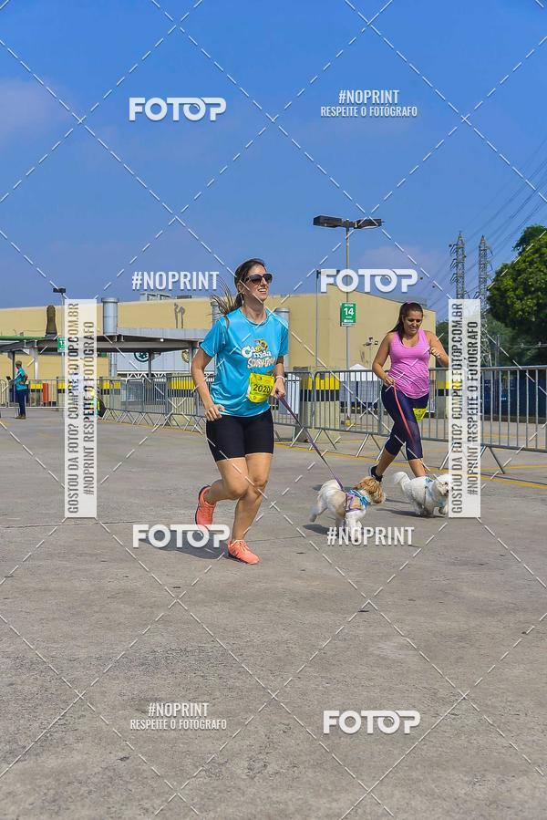 Buy your photos of the eventC�orrida Scooby Doo Internacional Shopping Guarulhos 2019 on Fotop