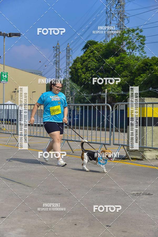 Buy your photos of the eventC�orrida Scooby Doo Internacional Shopping Guarulhos 2019 on Fotop