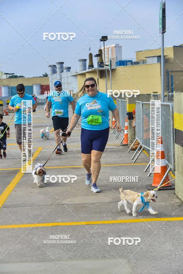 Buy your photos of the eventC�orrida Scooby Doo Internacional Shopping Guarulhos 2019 on Fotop