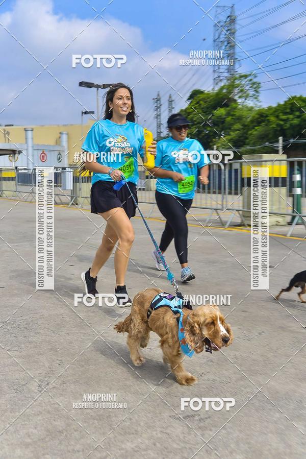 Buy your photos of the eventC�orrida Scooby Doo Internacional Shopping Guarulhos 2019 on Fotop