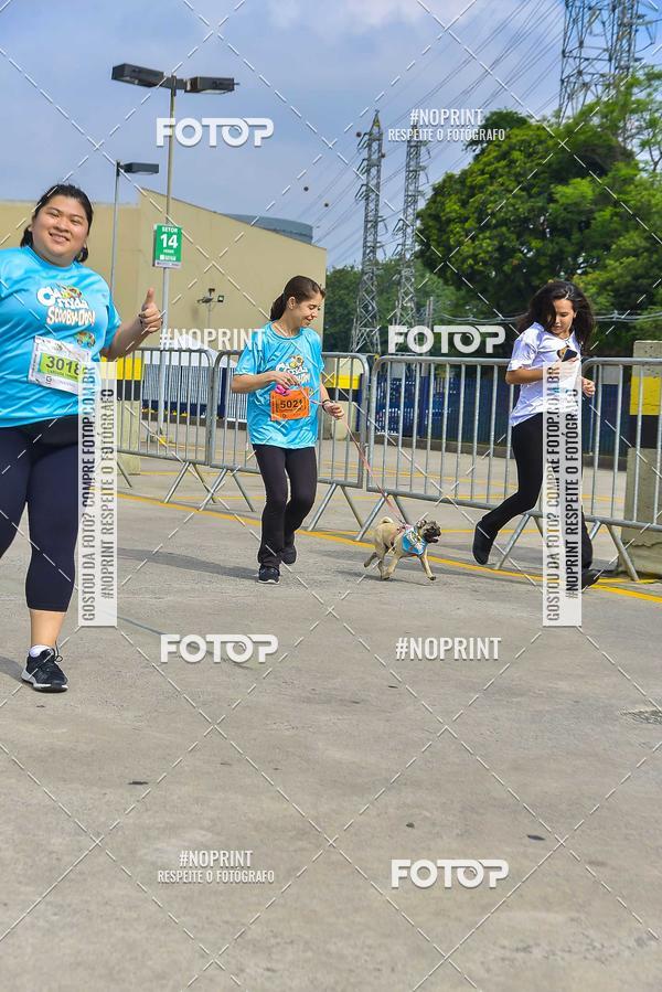 Buy your photos of the eventC�orrida Scooby Doo Internacional Shopping Guarulhos 2019 on Fotop