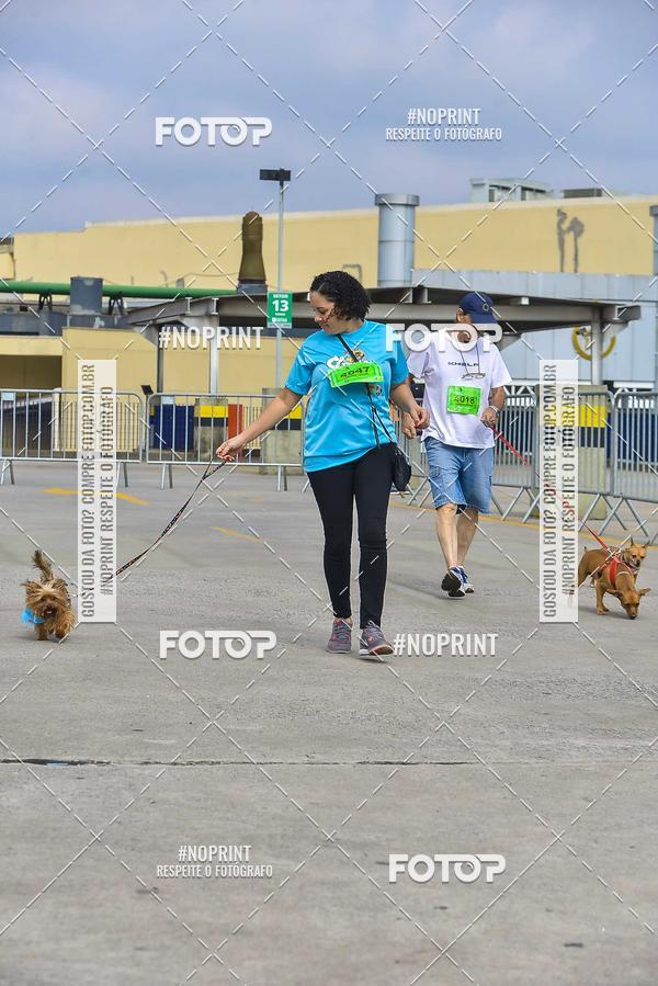 Buy your photos of the eventC�orrida Scooby Doo Internacional Shopping Guarulhos 2019 on Fotop