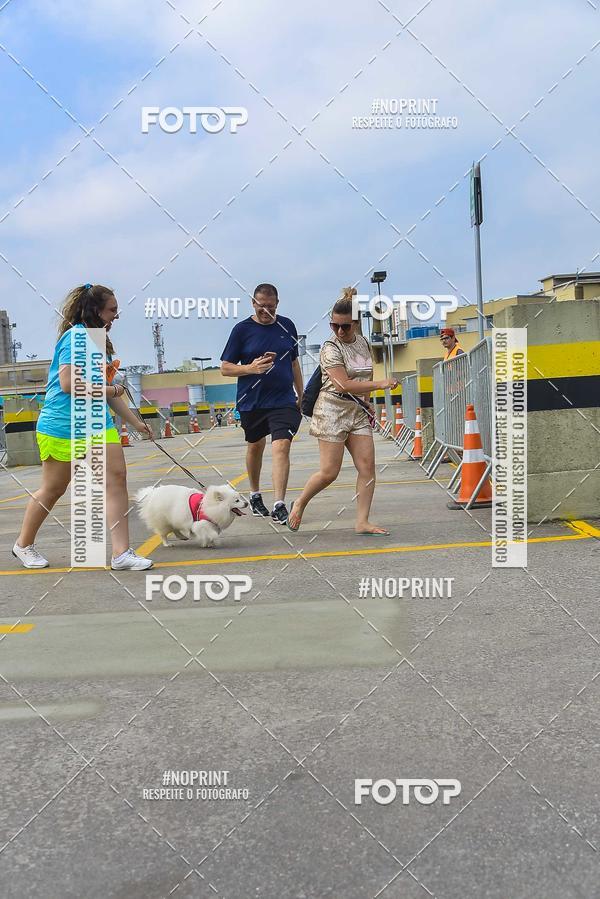 Buy your photos of the eventC�orrida Scooby Doo Internacional Shopping Guarulhos 2019 on Fotop