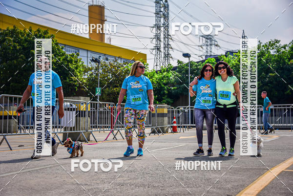 Buy your photos of the eventCorrida Scooby Doo Internacional Shopping Guarulhos 2019 on Fotop