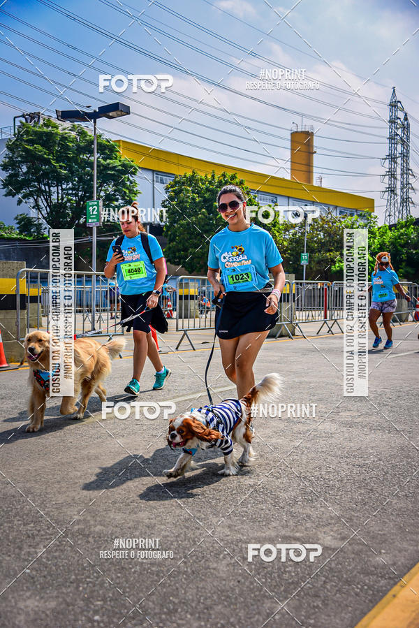 Buy your photos of the eventCorrida Scooby Doo Internacional Shopping Guarulhos 2019 on Fotop