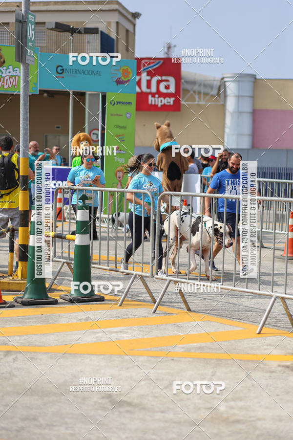 Acquista le foto dell'eventoCorrida Scooby Doo Internacional Shopping Guarulhos 2019 in Fotop