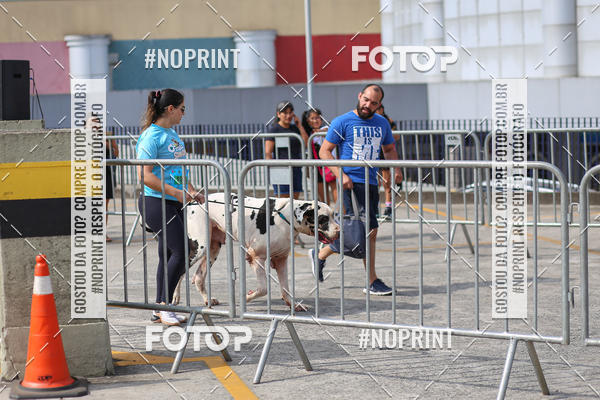 Acquista le foto dell'eventoCorrida Scooby Doo Internacional Shopping Guarulhos 2019 in Fotop
