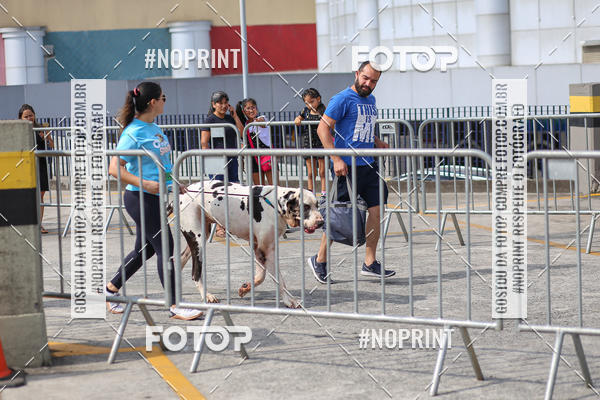 Acquista le foto dell'eventoCorrida Scooby Doo Internacional Shopping Guarulhos 2019 in Fotop