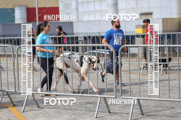 Acquista le foto dell'eventoCorrida Scooby Doo Internacional Shopping Guarulhos 2019 in Fotop