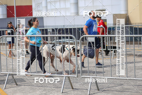 Acquista le foto dell'eventoCorrida Scooby Doo Internacional Shopping Guarulhos 2019 in Fotop