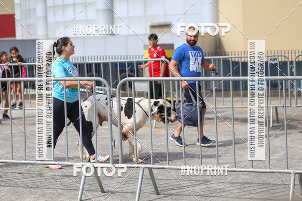 Acquista le foto dell'eventoCorrida Scooby Doo Internacional Shopping Guarulhos 2019 in Fotop