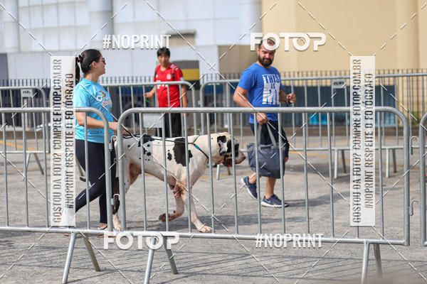 Acquista le foto dell'eventoCorrida Scooby Doo Internacional Shopping Guarulhos 2019 in Fotop