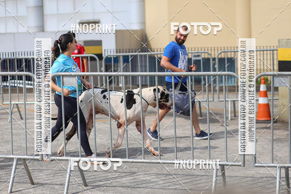 Acquista le foto dell'eventoCorrida Scooby Doo Internacional Shopping Guarulhos 2019 in Fotop