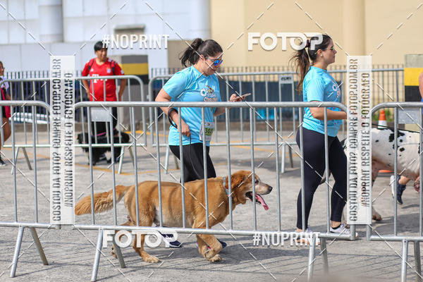 Acquista le foto dell'eventoCorrida Scooby Doo Internacional Shopping Guarulhos 2019 in Fotop