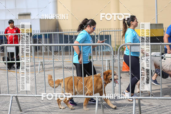 Acquista le foto dell'eventoCorrida Scooby Doo Internacional Shopping Guarulhos 2019 in Fotop