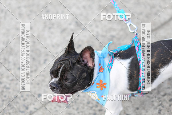 Acquista le foto dell'eventoCorrida Scooby Doo Internacional Shopping Guarulhos 2019 in Fotop