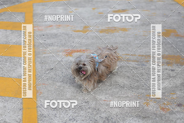 Acquista le foto dell'eventoCorrida Scooby Doo Internacional Shopping Guarulhos 2019 in Fotop