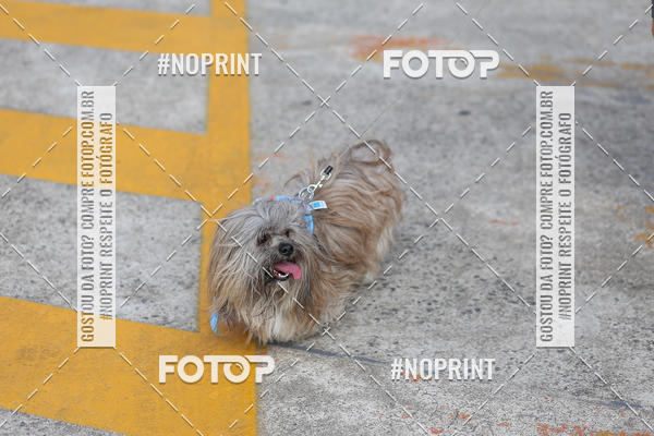 Acquista le foto dell'eventoCorrida Scooby Doo Internacional Shopping Guarulhos 2019 in Fotop