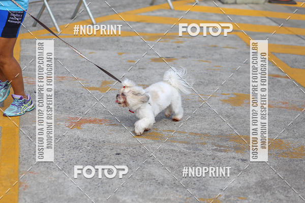 Buy your photos of the eventCorrida Scooby Doo Internacional Shopping Guarulhos 2019 on Fotop
